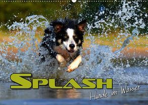 SPLASH – Hunde im Wasser (Wandkalender 2019 DIN A2 quer) von Bleicher,  Renate