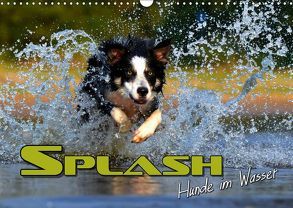 SPLASH – Hunde im Wasser (Wandkalender 2019 DIN A3 quer) von Bleicher,  Renate