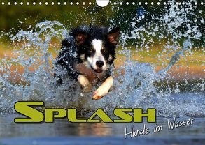SPLASH – Hunde im Wasser (Wandkalender 2019 DIN A4 quer) von Bleicher,  Renate