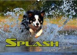 SPLASH – Hunde im Wasser (Wandkalender 2023 DIN A2 quer) von Bleicher,  Renate