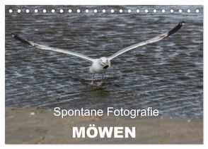 Spontane Fotografie – Möwen (Tischkalender 2024 DIN A5 quer), CALVENDO Monatskalender von MP,  Melanie