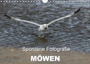 Spontane Fotografie – Möwen (Wandkalender 2019 DIN A4 quer) von MP,  Melanie