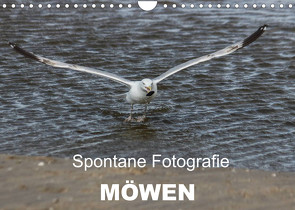 Spontane Fotografie – Möwen (Wandkalender 2023 DIN A4 quer) von MP,  Melanie