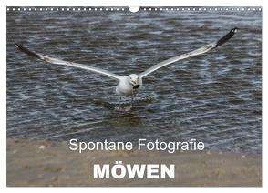 Spontane Fotografie – Möwen (Wandkalender 2024 DIN A3 quer), CALVENDO Monatskalender von MP,  Melanie