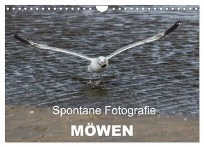 Spontane Fotografie – Möwen (Wandkalender 2024 DIN A4 quer), CALVENDO Monatskalender von MP,  Melanie