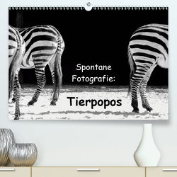 Spontane Fotografie: Tierpopos (Premium, hochwertiger DIN A2 Wandkalender 2021, Kunstdruck in Hochglanz) von MP ( Melanie Münchow-Peth ),  Melanie