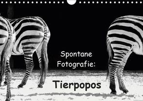Spontane Fotografie: Tierpopos (Wandkalender 2019 DIN A4 quer) von MP ( Melanie Münchow-Peth ),  Melanie