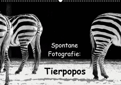 Spontane Fotografie: Tierpopos (Wandkalender 2021 DIN A2 quer) von MP ( Melanie Münchow-Peth ),  Melanie