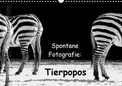 Spontane Fotografie: Tierpopos (Wandkalender 2021 DIN A3 quer) von MP ( Melanie Münchow-Peth ),  Melanie