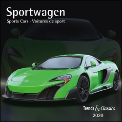 Sportwagen Sports Cars 2020 – Broschürenkalender – Wandkalender – mit Schulferientabelle und Jahresübersicht 2020 – Format 30 x 30 cm von DUMONT Kalenderverlag