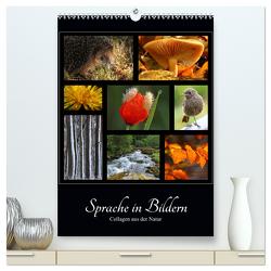 Sprache in Bildern – Collagen aus der Natur (hochwertiger Premium Wandkalender 2024 DIN A2 hoch), Kunstdruck in Hochglanz von Michel,  Ingrid