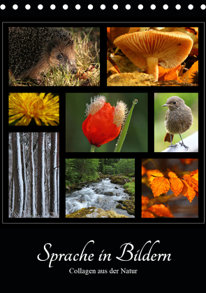 Sprache in Bildern – Collagen aus der Natur (Tischkalender 2021 DIN A5 hoch) von Michel,  Ingrid