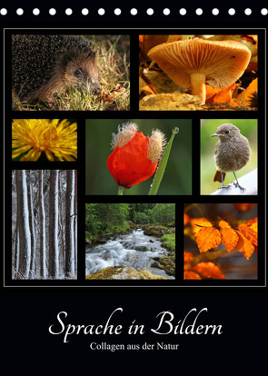 Sprache in Bildern – Collagen aus der Natur (Tischkalender 2023 DIN A5 hoch) von Michel,  Ingrid