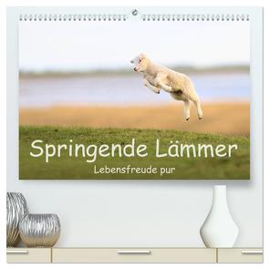 Springende Lämmer: Lebensfreude pur (hochwertiger Premium Wandkalender 2024 DIN A2 quer), Kunstdruck in Hochglanz von Weiß,  Elmar