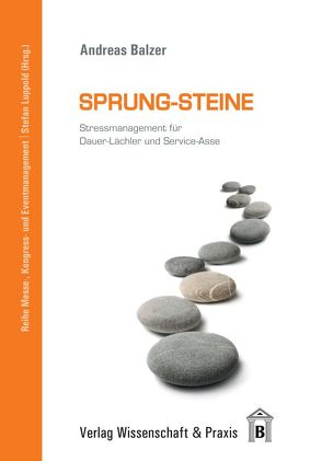 Sprung-Steine. von Balzer,  Andreas, Luppold,  Stefan, Schmidt,  Norbert