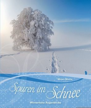 Spuren im Schnee von Miethe,  Mirjam