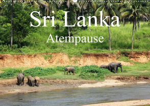 Sri Lanka Atempause (Wandkalender 2021 DIN A2 quer) von Cavcic,  Ivan, Popp,  Diana