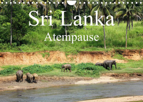 Sri Lanka Atempause (Wandkalender 2022 DIN A4 quer) von Cavcic,  Ivan, Popp,  Diana