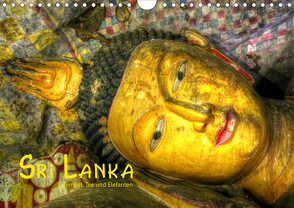 Sri Lanka – Tempel, Tee und Elefanten (Wandkalender 2021 DIN A4 quer) von Stamm,  Dirk