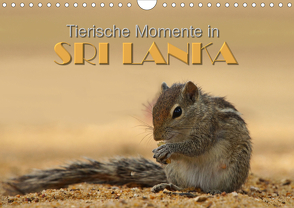 Sri Lanka – Tierische Momente (Wandkalender 2021 DIN A4 quer) von Matziol,  Michael