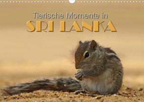 Sri Lanka – Tierische Momente (Wandkalender 2022 DIN A3 quer) von Matziol,  Michael