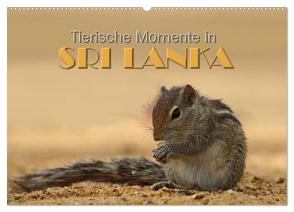 Sri Lanka – Tierische Momente (Wandkalender 2024 DIN A2 quer), CALVENDO Monatskalender von Matziol,  Michael
