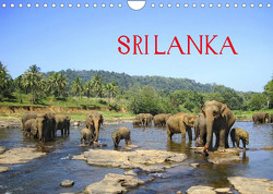 Sri Lanka (Wandkalender 2023 DIN A4 quer) von Rasch,  Clemens
