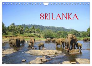 Sri Lanka (Wandkalender 2024 DIN A4 quer), CALVENDO Monatskalender von Rasch,  Clemens