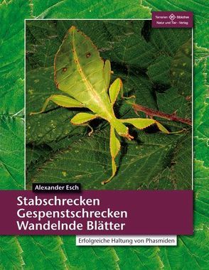 Stabschrecken, Gespenstschrecken, Wandelnde Blätter von Esch,  Alexander