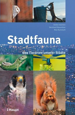 Stadtfauna von Ineichen,  Stefan, Klausnitzer,  Bernhard, Ruckstuhl,  Max