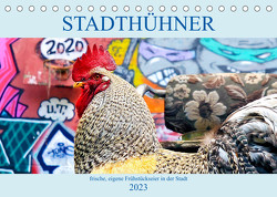 Stadthühner (Tischkalender 2023 DIN A5 quer) von Eder/Busch