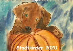 Stadtkinder 2020 (Wandkalender 2020 DIN A3 quer) von Nocke,  Susanne