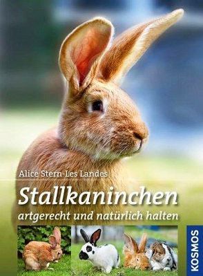 Stallkaninchen von Stern-Les Landes,  Alice