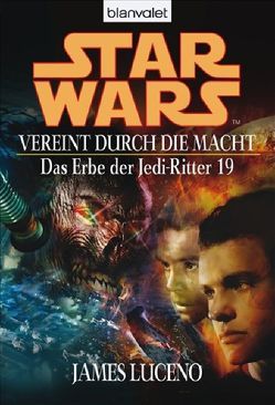 Star Wars: Das Erbe der Jedi-Ritter 19 von Luceno,  James, Winter,  Regina