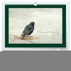 Stare und Weisheiten (hochwertiger Premium Wandkalender 2024 DIN A2 quer), Kunstdruck in Hochglanz von Hultsch,  Heike
