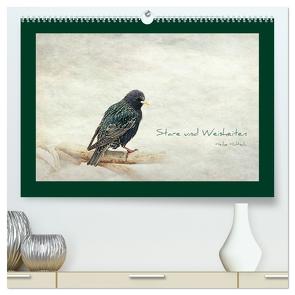 Stare und Weisheiten (hochwertiger Premium Wandkalender 2024 DIN A2 quer), Kunstdruck in Hochglanz von Hultsch,  Heike