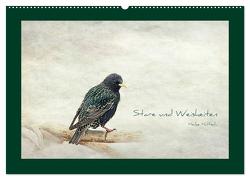 Stare und Weisheiten (Wandkalender 2024 DIN A2 quer), CALVENDO Monatskalender von Hultsch,  Heike