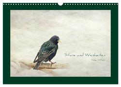 Stare und Weisheiten (Wandkalender 2024 DIN A3 quer), CALVENDO Monatskalender von Hultsch,  Heike