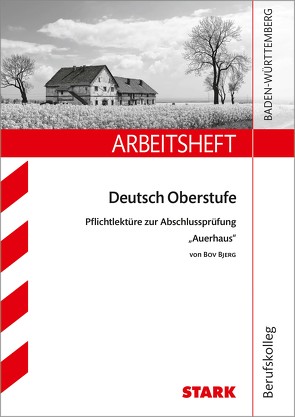 STARK Arbeitsheft Deutsch – Auerhaus von Kliewer,  Annette