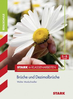 STARK Stark in Mathematik – Realschule – Brüche und Dezimalbrüche 5.-8. Klasse von Modschiedler,  Walter