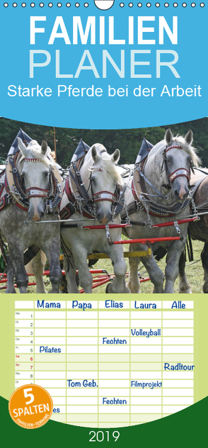 Starke Pferde bei der Arbeit – Familienplaner hoch (Wandkalender 2019 , 21 cm x 45 cm, hoch) von Lindert-Rottke,  Antje