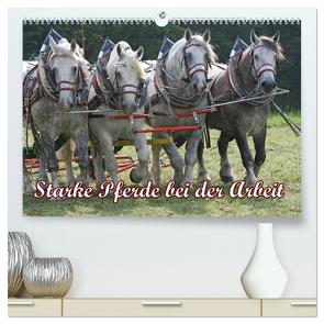 Starke Pferde bei der Arbeit (hochwertiger Premium Wandkalender 2024 DIN A2 quer), Kunstdruck in Hochglanz von Lindert-Rottke,  Antje