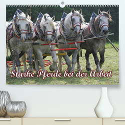 Starke Pferde bei der Arbeit (Premium, hochwertiger DIN A2 Wandkalender 2023, Kunstdruck in Hochglanz) von Lindert-Rottke,  Antje