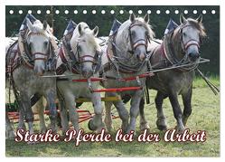 Starke Pferde bei der Arbeit (Tischkalender 2024 DIN A5 quer), CALVENDO Monatskalender von Lindert-Rottke,  Antje