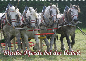 Starke Pferde bei der Arbeit (Wandkalender 2023 DIN A2 quer) von Lindert-Rottke,  Antje