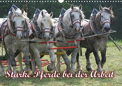 Starke Pferde bei der Arbeit (Wandkalender 2023 DIN A3 quer) von Lindert-Rottke,  Antje