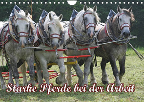 Starke Pferde bei der Arbeit (Wandkalender 2023 DIN A4 quer) von Lindert-Rottke,  Antje