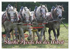 Starke Pferde bei der Arbeit (Wandkalender 2024 DIN A2 quer), CALVENDO Monatskalender von Lindert-Rottke,  Antje