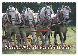 Starke Pferde bei der Arbeit (Wandkalender 2024 DIN A3 quer), CALVENDO Monatskalender von Lindert-Rottke,  Antje