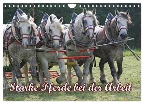 Starke Pferde bei der Arbeit (Wandkalender 2024 DIN A4 quer), CALVENDO Monatskalender von Lindert-Rottke,  Antje